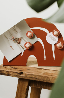 Slider Marque - Push Niveau 2