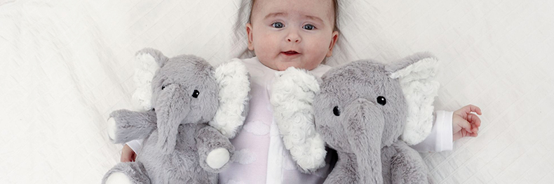 Slider Marque - Push Niveau 3