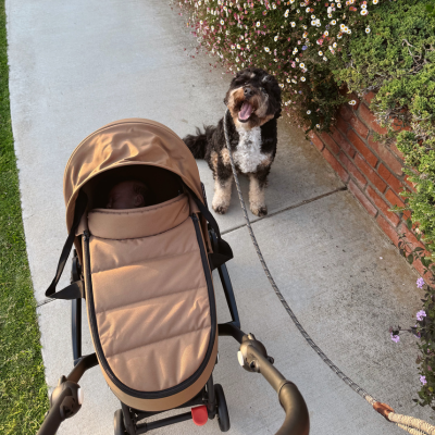 Slider Marque - Push Niveau 1