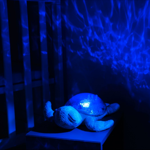 PL'iconique veilleuse tortue