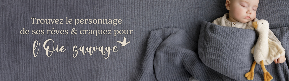 Trouvez le personnage de ses rêves : l’Oie
