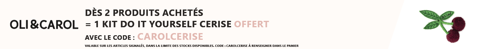 Oli & Carol : 2 produits achetés = 1 kit do it yourself offert